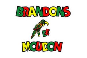 Brandons de Moudon